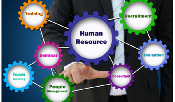 Auditing HR Processes